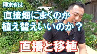 直播か移植か