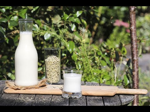 How to make Hemp Milk in two minutes