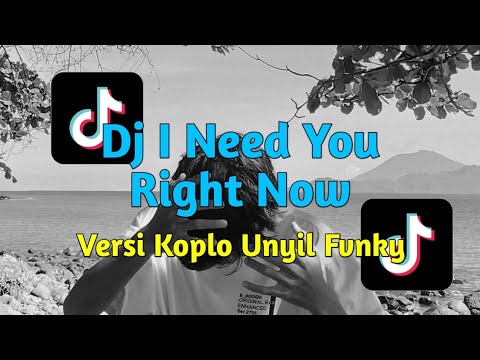 Dj I Need You Right Now Versi Koplo Unyil Fvnky Terbaru 2024 Viral Tiktok