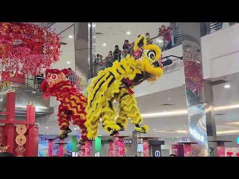 Lion Dance at Sutera Mall