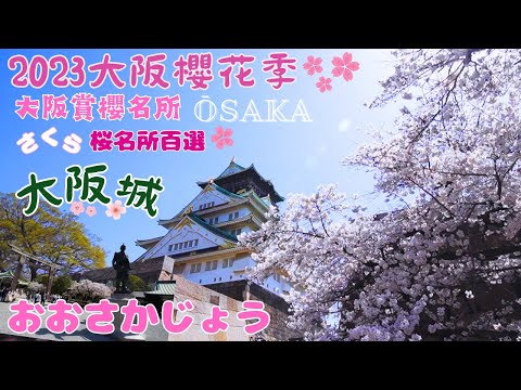 【大阪城】大阪城櫻花滿開｜Osaka castle｜2023大阪城櫻花花況｜OSAKA 桜｜満開の桜｜大阪自由行｜日本100名城紀行｜日本櫻花百選｜大阪自由行｜豊國神社｜さくら｜關西自由行｜城めぐり