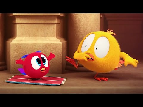 Silly Poyo! | Where's Chicky? | Cartoon Collection in English for Kids | New episodes HD