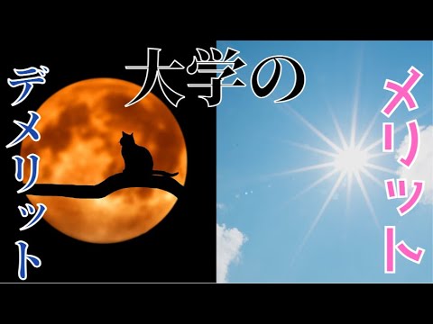 【大学のメリット・デメリット】大学に行く意味とは（4年間が大きく変わります）