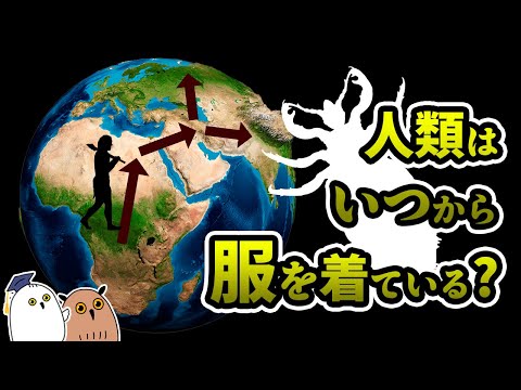 【ゆっくり解説】シラミから見る人類の服の起源【進化論】