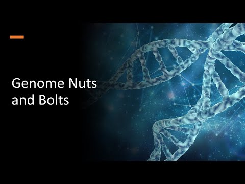 Genome Nuts and Bolts