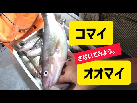 氷下魚とオオマイの捌き方