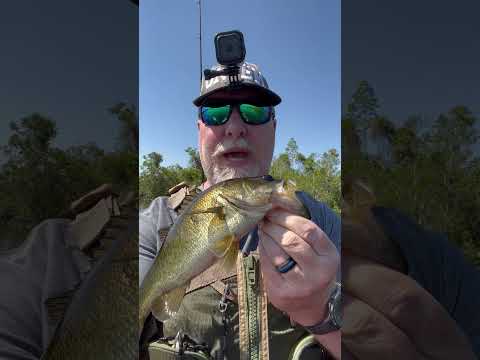 Five years later..In this park.   #shorts #shortsvideo #kayakfishing #bassfishing