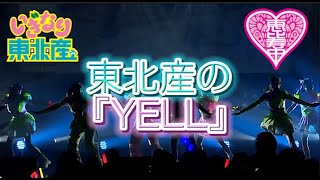 【東北産】　いぎなり東北産　『YELL』　私立恵比寿中学　ライブ