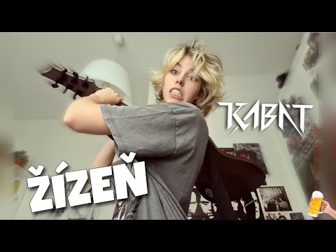 ŽÍZEŇ - KABÁT // Guitar Cover