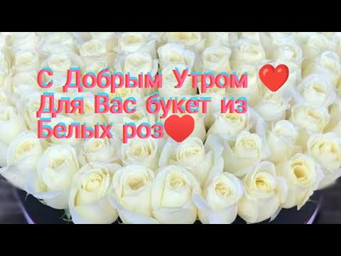 Юра Шатунов,Белые розы для Вас ♥️ Прекрасного Вам нового дня ❤️ Музыкальная открытка и Белые розы ♥️