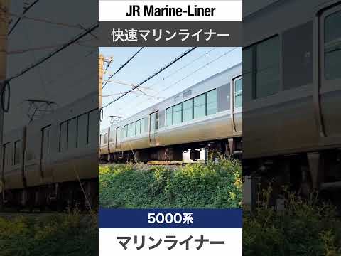 Japanese Trains for Kids - JR Marine-Liner