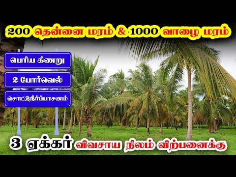 🌴🌻3 Acre Agri Land with house for sale 🤩 l 🌱 Agri Land in Coimbatore l Agri Land for sale in annur