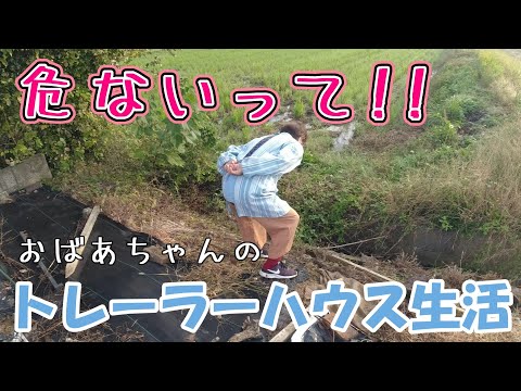 【トレーラーハウス生活】ミシン復活と畑に大きな○○　#370