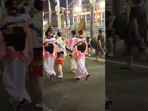 Japanese festival Awa Odori Tokushima city