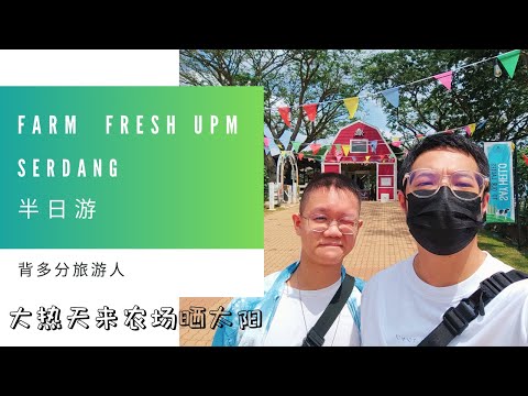 大热天来 FARM FRESH UPM SERDANG 这里短暂旅游打卡拍照！这里很多可以出片的好地方，但是代价就是好晒！！！！