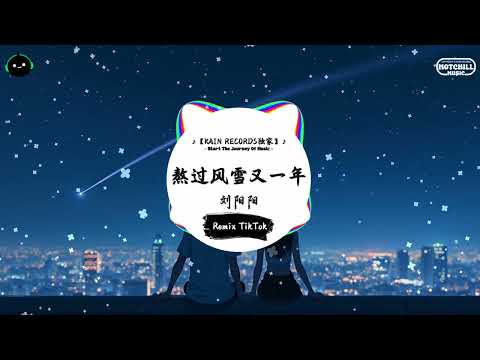 熬过风雪又一年 (抖音DJ版) - 刘阳阳『我也想了无牵挂，我也想活得自在潇洒。』♪ || 一听就上头的音乐 | 抖音熱門歌曲 |  抖音 | TikTok ♪