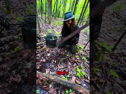 EPIC Metal Detecting Find: 1800s Cross Cut Saw Unearthed! 😲🪙 #Shorts #MetalDetecting #fyp