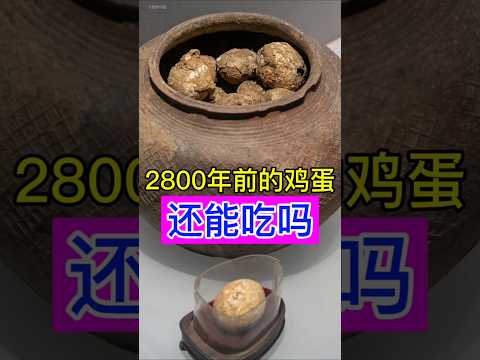 2800年前的鸡蛋还能吃吗？ #history #历史 #科普 #chinesehistory #文化 #china #中國歩き #中国文化中心