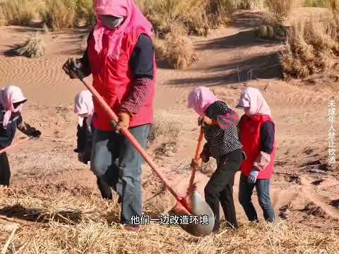 贺兰山东麓葡萄酒 中国葡萄酒，当惊世界殊！贺兰山东麓葡萄酒