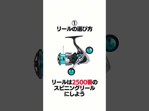 秋のエギングタックルの選び方‼️