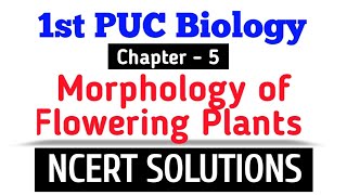 1st PUC Biology || Chapter -5 Morphology of Flowering Plants || NCERT Solutions #biology #ncert