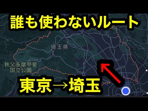 【東京→埼玉】誰も使わない鉄道ルートで移動する