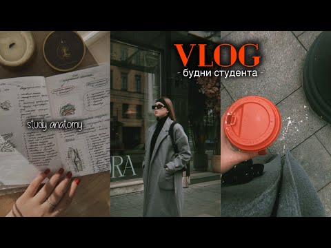 учу анатомию, делаю презентацию и запиваю всё это кофе ☕️