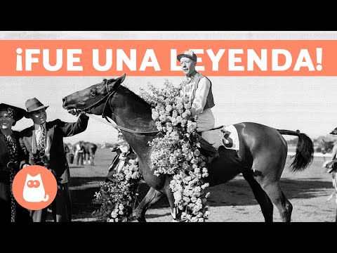 El CABALLO que DEVOLVIÓ la ESPERANZA a USA 🐎 (Seabiscuit)