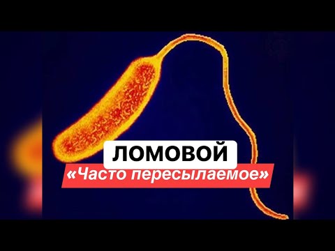 ЛОМОВОЙ - Часто пересылаемое