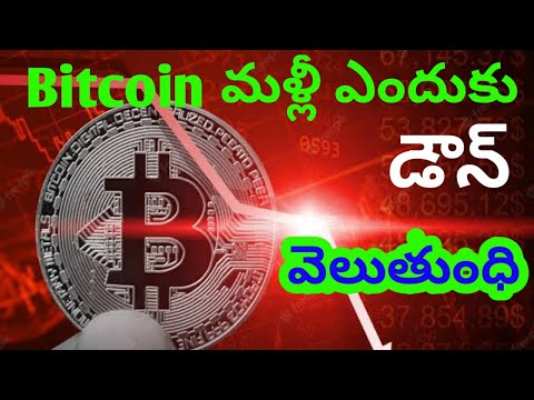 Latest cryptocurrency today updates | March crypto latest updates | shiba inu latest updates