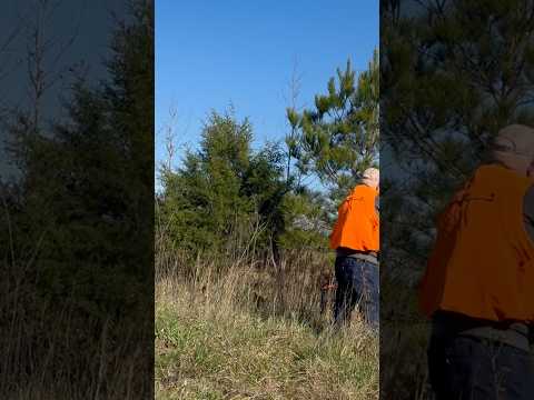 Mr. Wayne Perkins has been feeding his family a Christmas quail dinner for over 50 years 🥹