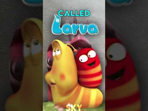 Red Larva Oi Oi Oi Meme Origin 😱