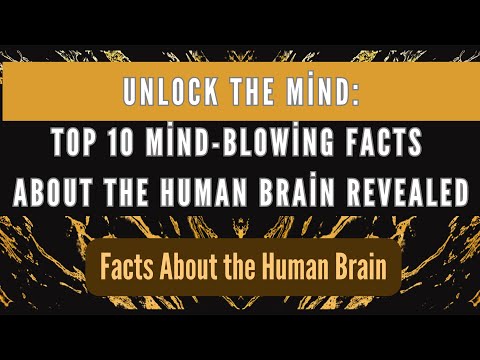 Unlock the Mind:Top 10 Mind-Blowing Facts About the Human Brain Revealed|Facts About the Human Brain