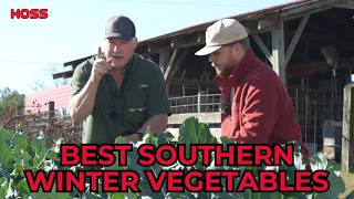 Top 5 Winter Vegetables for the South