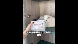 敌特新品真的好闻、好用！ #新手养猫 #宠物除臭喷雾