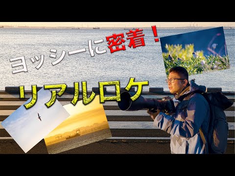 ヨッシーの撮影現場！浦安の風景をどのように撮影するか？！リアルロケ編！