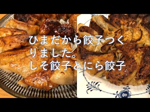 お家で【しそ餃子】と【にら餃子】作りました。【ウエイパー】いれるとなんでも旨くなる