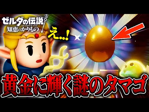 ゲルドの洞窟で黄金に輝く謎の生物のタマゴを入手しました.... Part10【ゼルダの伝説 知恵のかりもの実況/攻略】