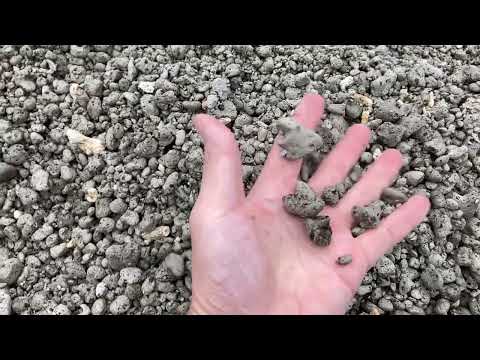 宮城海岸に漂着した軽石2021/11/13Pumice stone washed ashore on the Miyagi coast