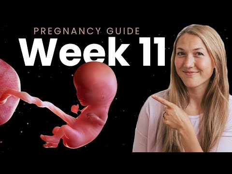 11 Weeks Pregnant | Week By Week Pregnancy