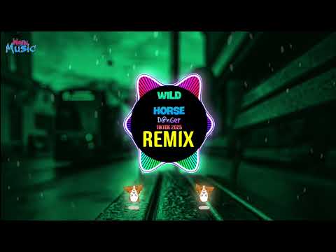 D@nGer - Wild Horse (Tiktok Remix Ver 2025) || Hot Tiktok Douyin 越南鼓卡点舞 DJ抖音版