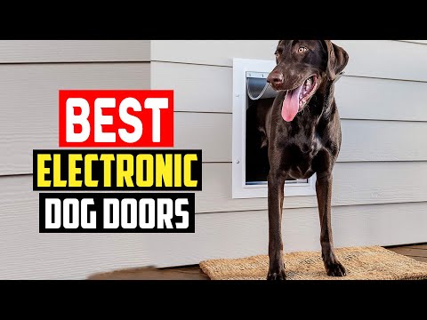 ✅Top 5 Best Electronic Dog Doors in 2023