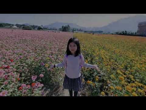 芯語小姊姊 出遊趣 - 杉林花海