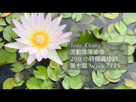 Jade 第七屆 流動陰陽瑜伽 200小時師資培訓 Week7/15 進行中 #瑜珈師資 #RYT200 #yogateachertraining