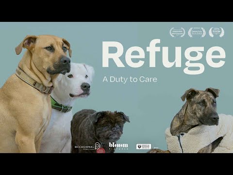 Refuge: A Duty of Care | Trailer | Available Now