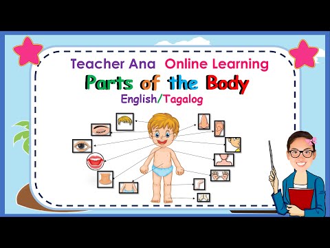 Mga Bahagi ng Katawan/Parts of the Body ll English/Tagalog ll Teacher Ana Online Learning