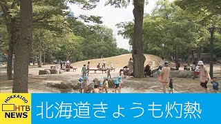 灼熱の北海道　旭川や富良野で猛暑日予想　札幌も１４日連続の真夏日に