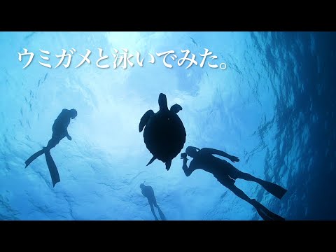 ウミガメと泳ぐ｜沖縄の穴場シュノーケリングビーチ「アポガマ」でスキンダイビング（202201）