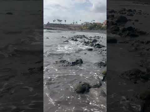 Playa de Fanabe #tenerife #canaryislands