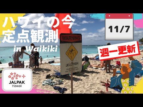 【ハワイの今】ワイキキ定点観測  2023年11月7日